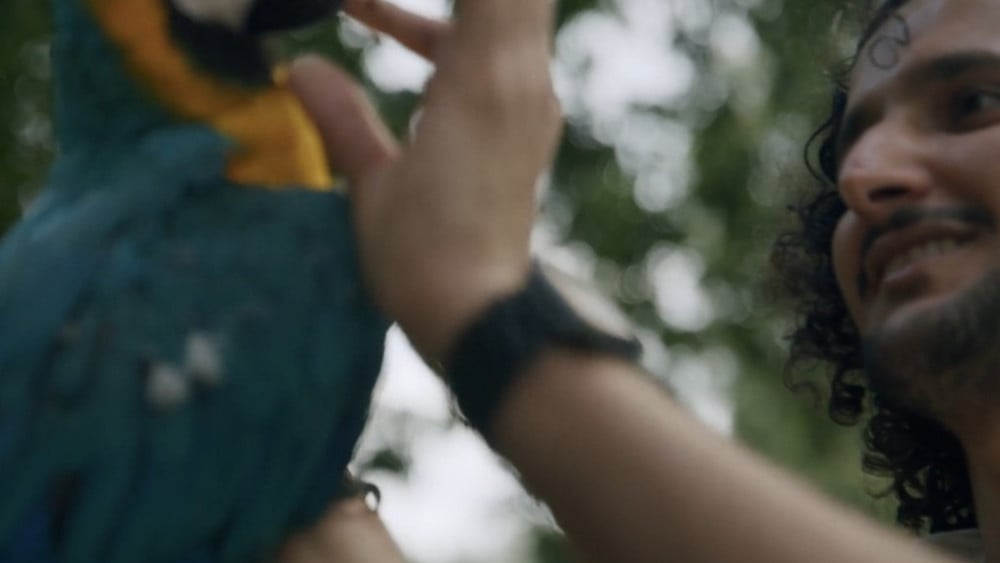 Noor (27) rouwt om zijn papegaai Sunbull: "Hij was mijn zoon"