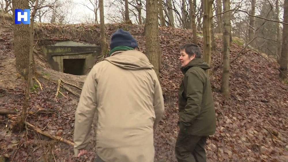 Once a German defense line, now a sanctuary for all kinds of animals