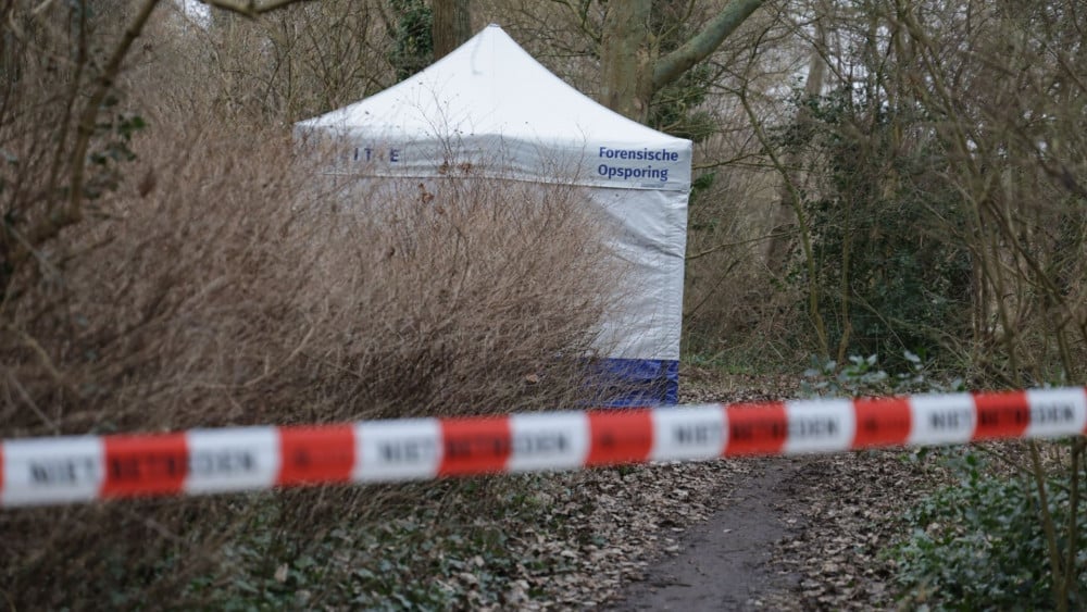 Overleden persoon aangetroffen in Haarlem • Automobilist belandt op dak na crash