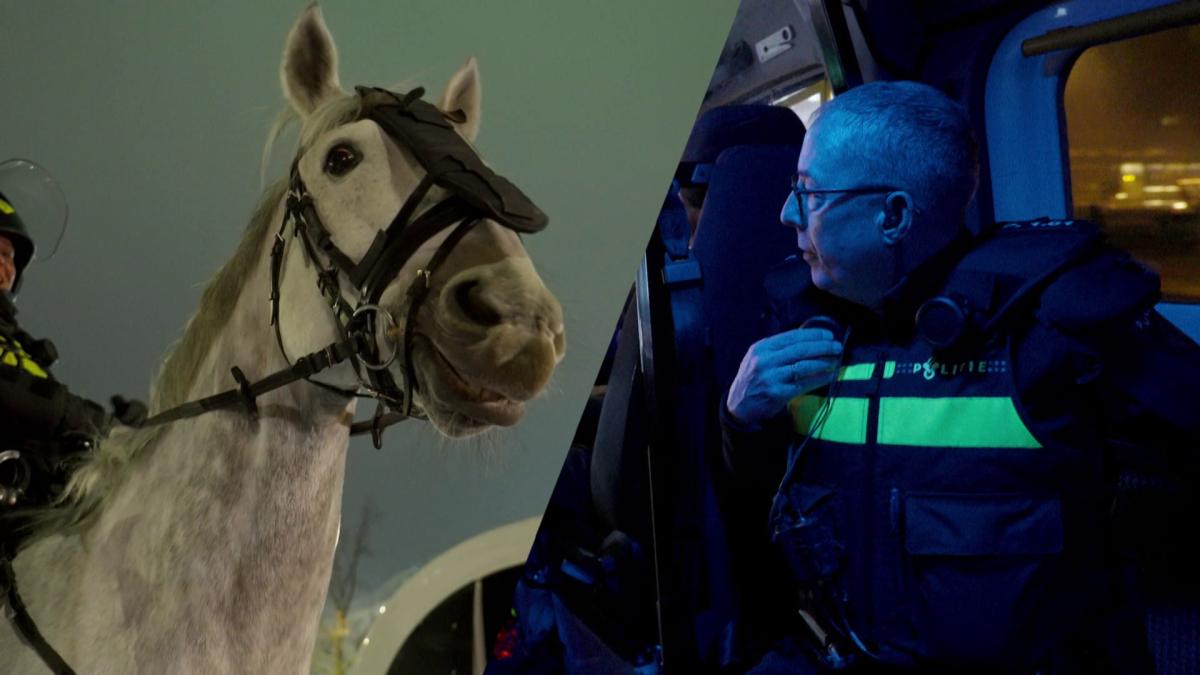 Zo werkt de politie te paard tijdens risicowedstrijd van Ajax: 