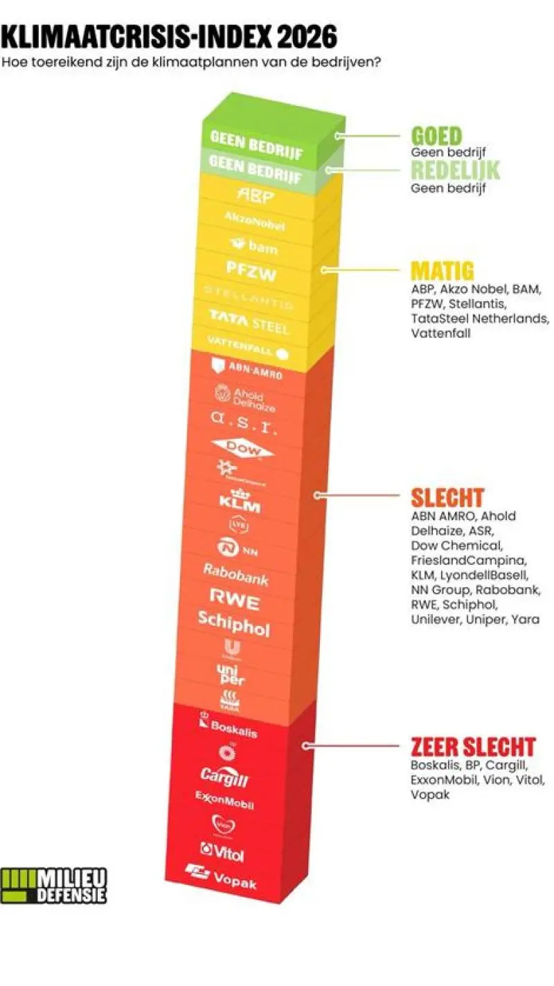 572398.7b50bc3.webp?width=800&ratio=9:16&quality=70