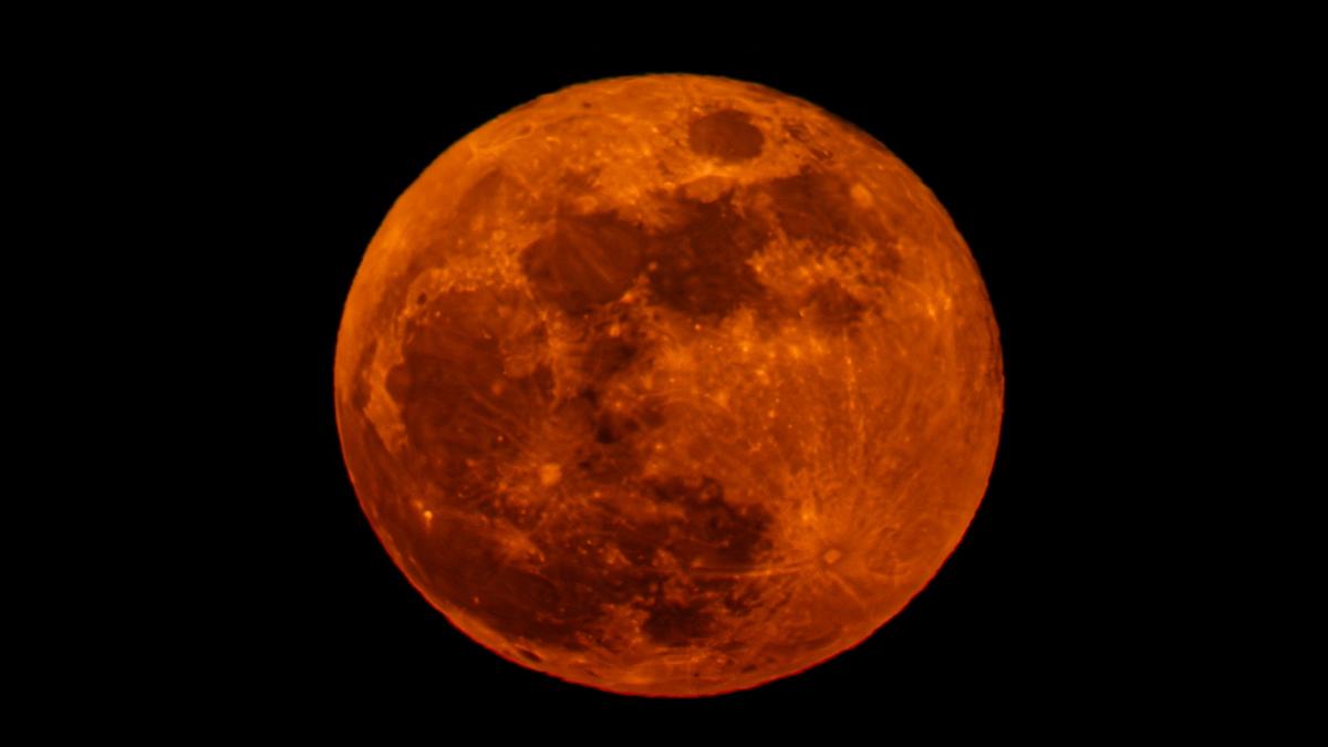 Rode maan in zicht: tips voor de beste plaatjes van natuurfotograaf Marcel van Engelen