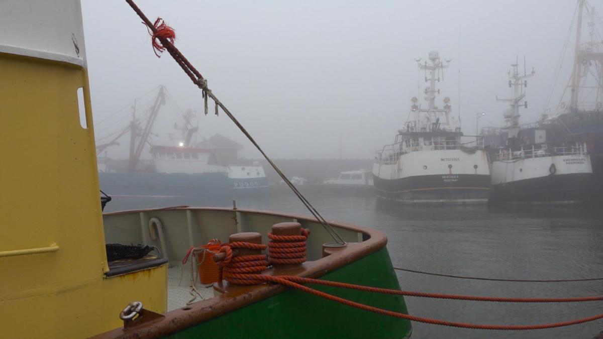 Steeds meer kotters blijven aan wal door brandstofprijzen: 'Water staat aan de lippen'