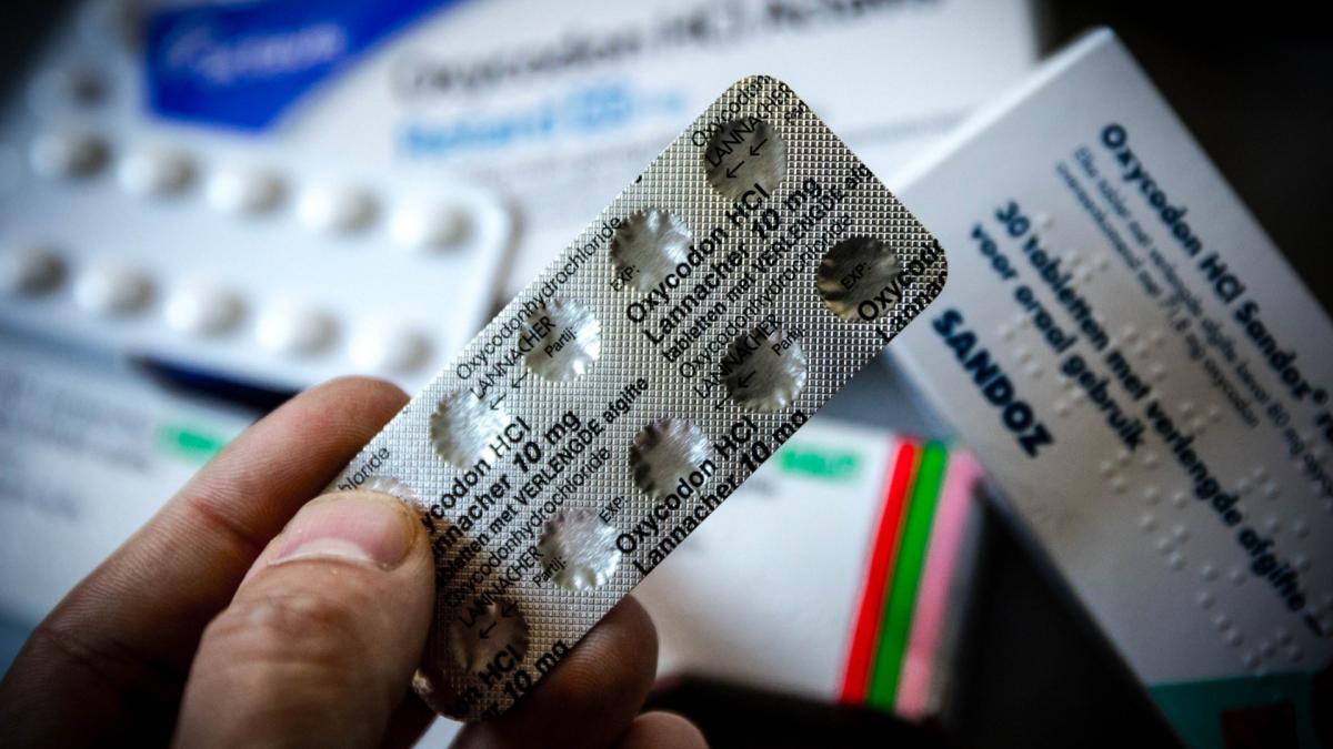 Haarlemse nep-apotheker opgepakt voor diefstal van zware pijnstillers