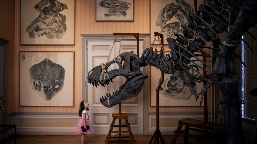 Time Magazine names Art Zoo Museum one of the World's Greatest Places