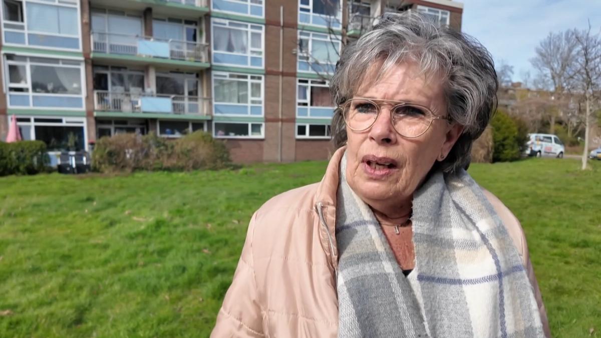 Helft van Beverwijkse wijk wordt opgeknapt, andere helft kijkt toe: 