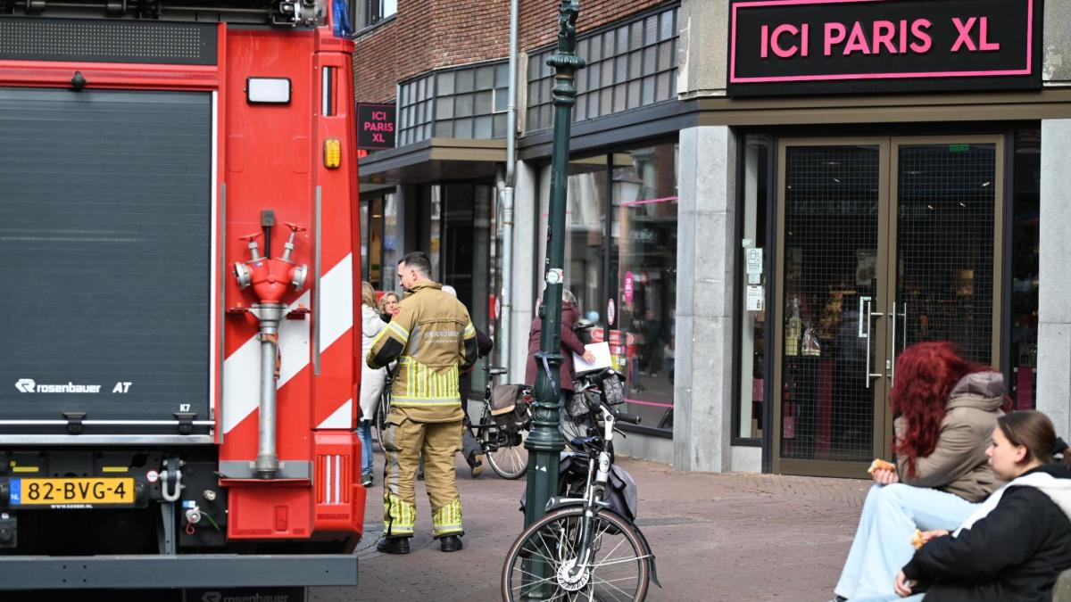 Zoektocht in Bergen naar vermiste man • Honderden papegaaibroedeieren in beslag genomen op Schiphol