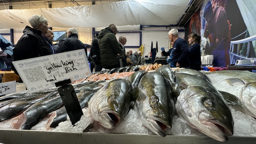 Den Oever opent nieuwe vismarkt als economische impuls voor dorp
