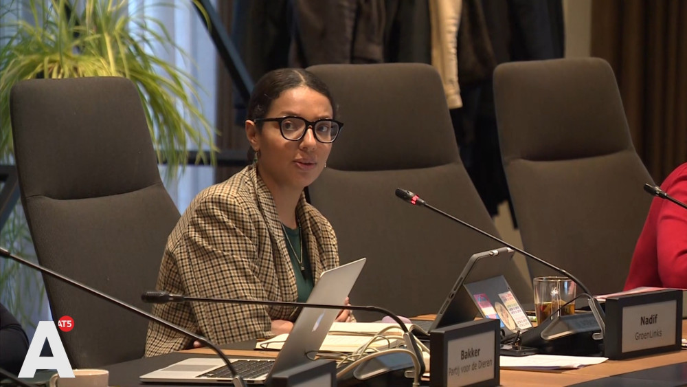 Former councilor Imane Nadif joins board of 'Progressive Netherlands'