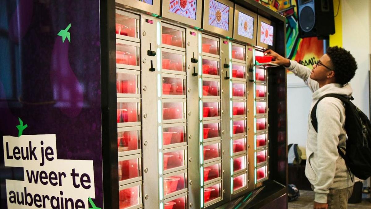 Haarlemse aanbieder van warme schoollunches TommyTomato failliet verklaard