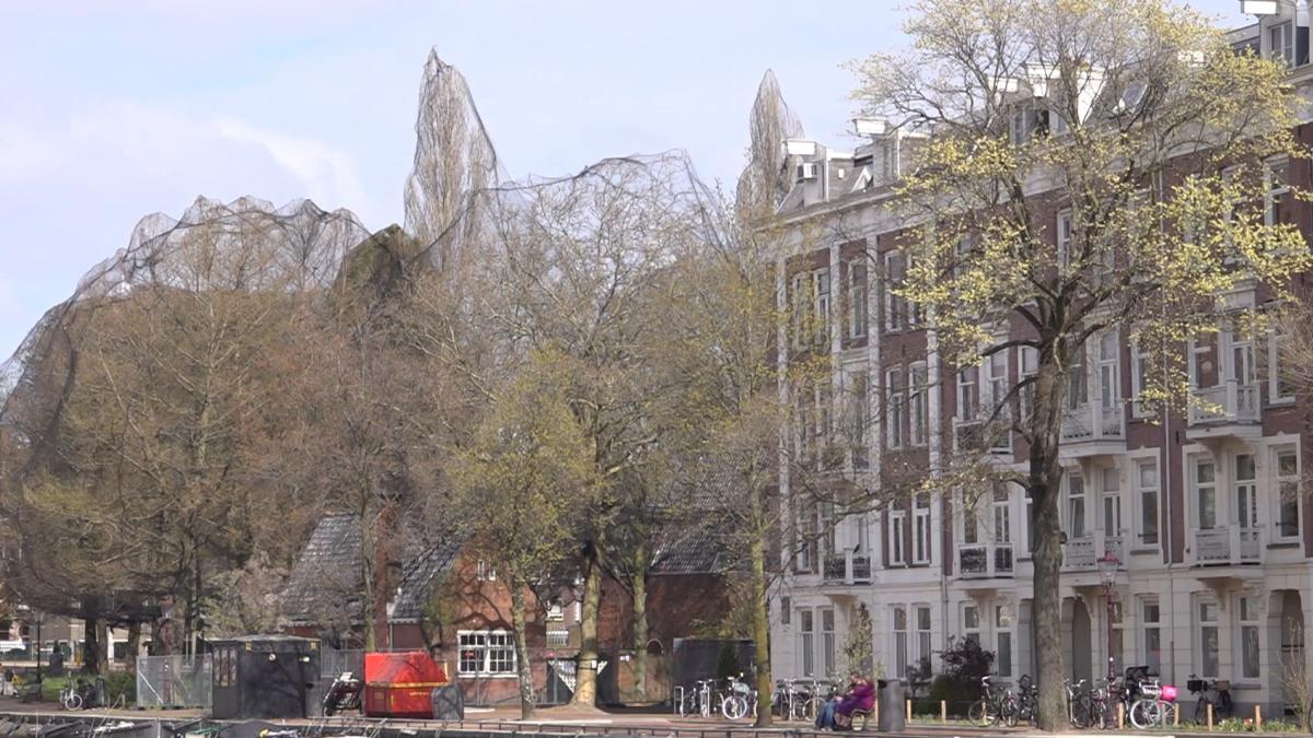 Waarom zijn de bomen bij het Rijksmuseum ingepakt met netten?