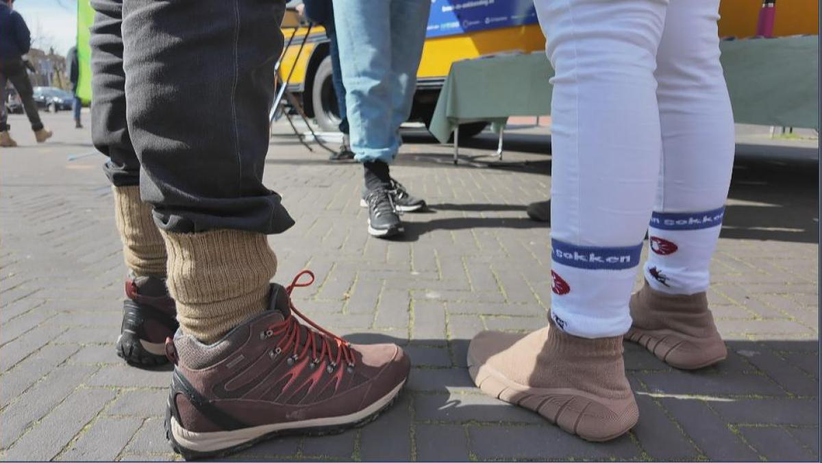 Rising Tick Bites in the Netherlands: Risks and Prevention - News Directory 3