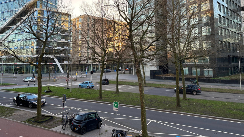 A10 South tunneling also leads to tree felling on Beethovenstraat