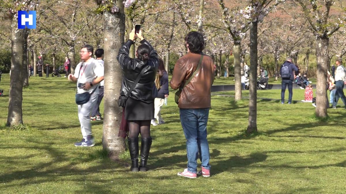 Tientallen teleurgestelde bezoekers in Amsterdamse Bos: 