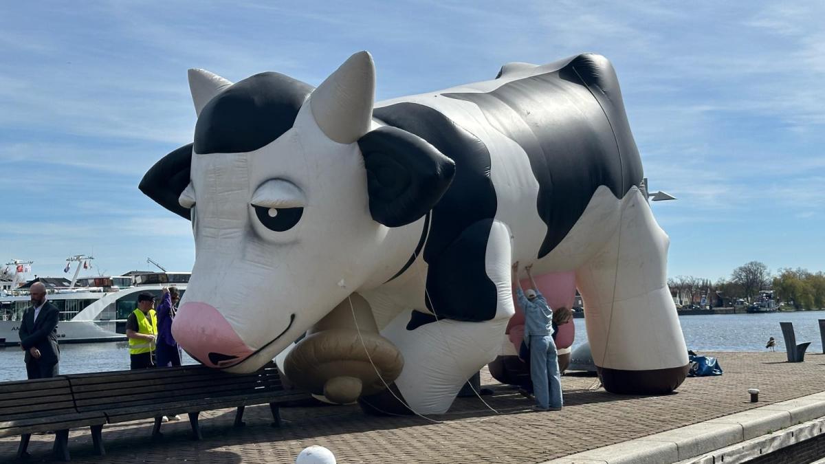 Mega opblaaskoe en nepkassa bij protest tegen Ahold Delhaize in Zaandam