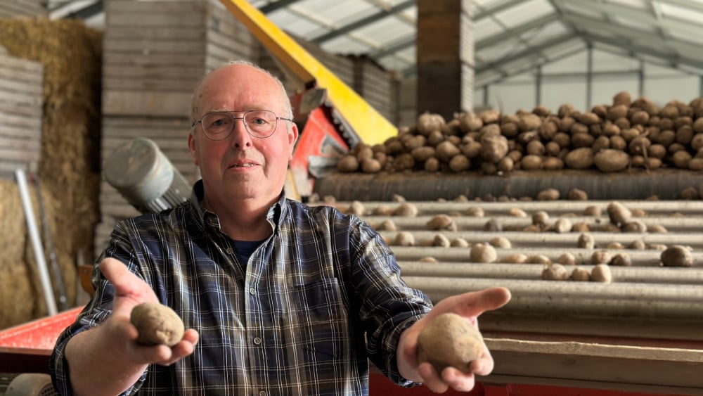 Gigantische berg aardappelen dreigt verloren te gaan, dus kun je ze bij boer Piet voor een prikkie ophalen
