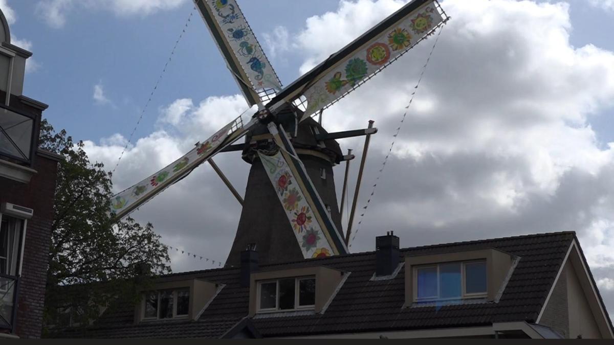 Gerestaureerde Aalsmeerse korenmolen draait alweer dertig jaar: 