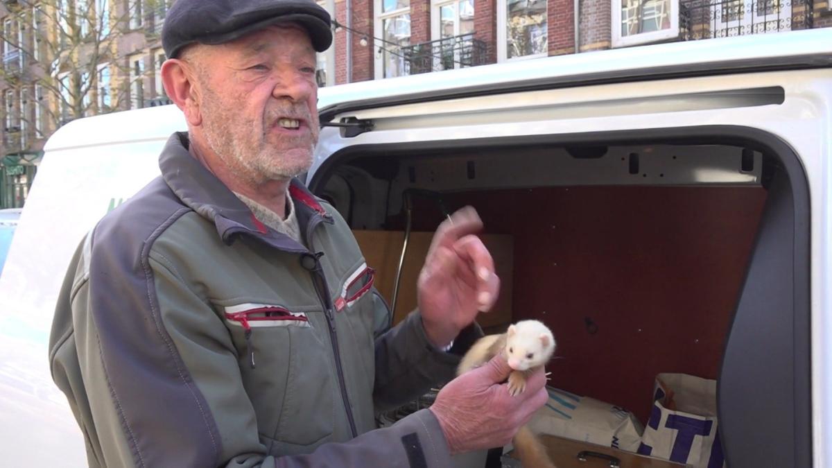 Fretten tegen rattenoverlast: 