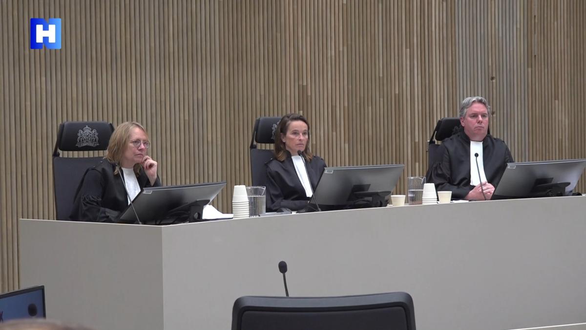 17 jaar cel en tbs geëist tegen Timothy B. voor doden en verminken van zijn moeder