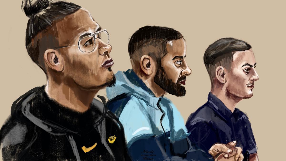 Tot 5,5 jaar cel geëist tegen drie Heerhugowaardse verdachten kunstroof