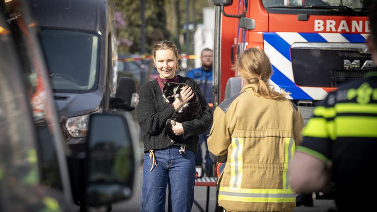 Haarlems huis gesloten na grote drugsvondst • Dronken bestuurder ramt pompstation