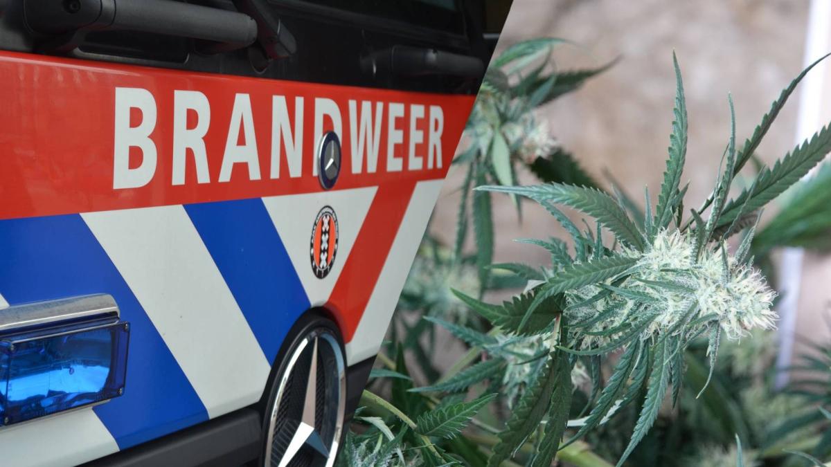 Brand bij woning in Amsterdam-Geuzenveld, wietplantage mogelijk oorzaak