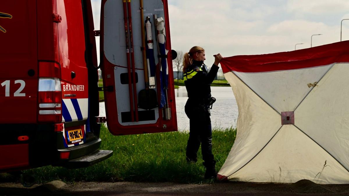 Haarlemmer opgepakt voor woningoverval • Moeder mogelijk betrokken bij explosiepoging zoon