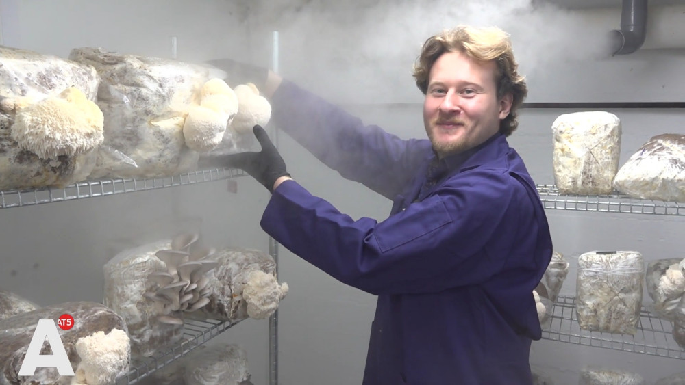 Jurian has a mushroom lab in a basement: They are very special little creatures