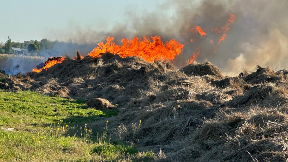 Brand in natuurgebied Ilperveld, rook trekt richting Oostzaan en Zaandam
