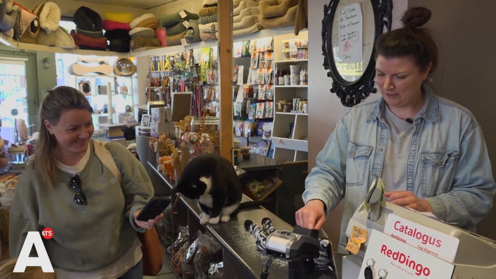 Pet shop gets major chain next door: "I'm shocked"
