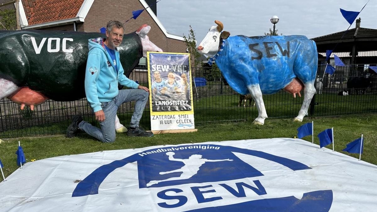 De SEW-koeien staan weer in de wei: dorp is helemaal klaar voor handbalfeest