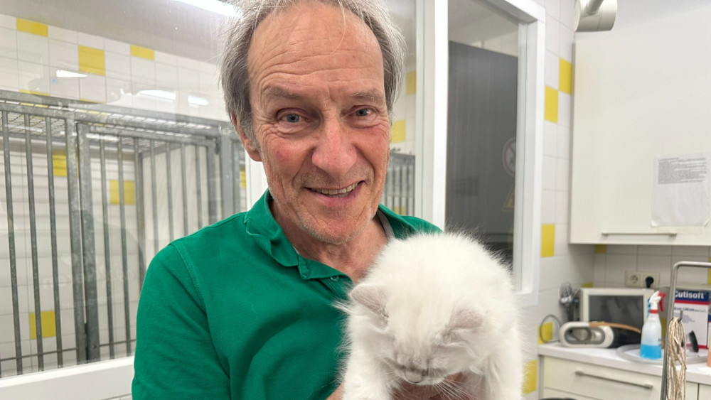 Almost fifty years among shelter cats: veterinarian Piet (75) has no plans to retire yet