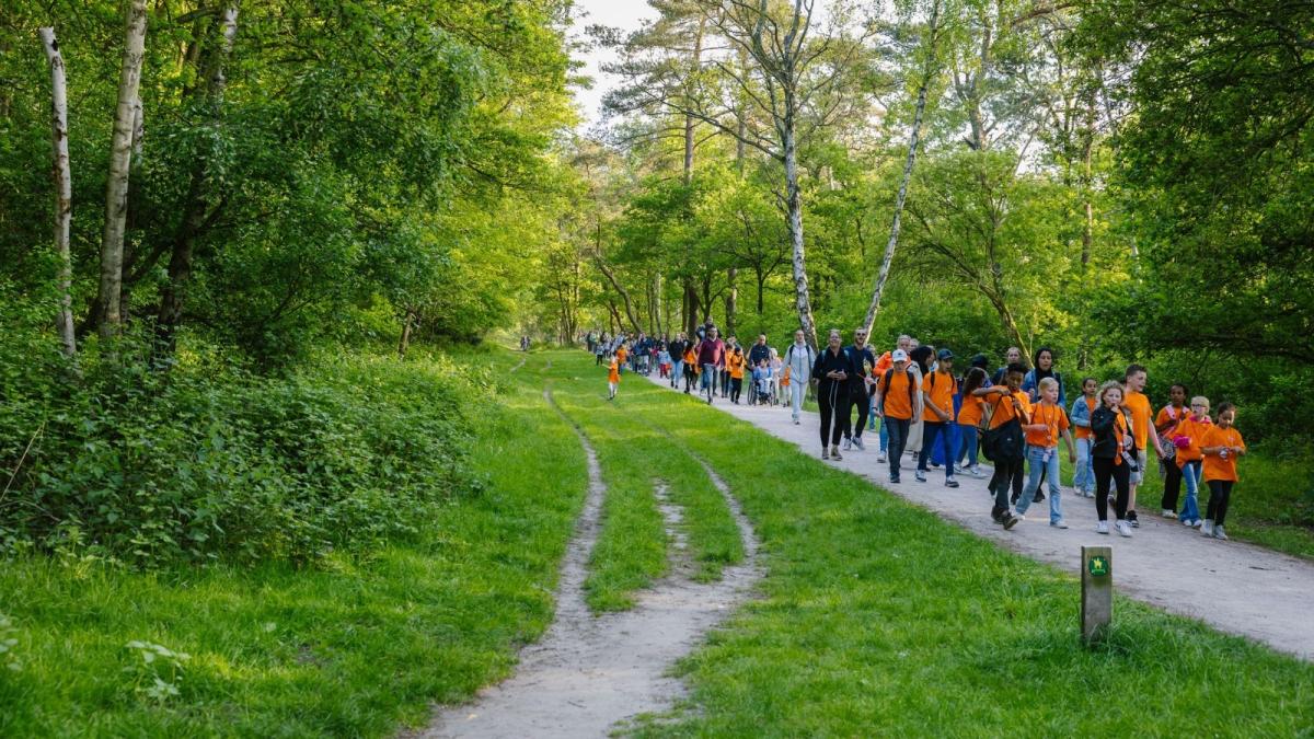 Avondvierdaagse Loosdrecht past route aan vanwege demonstraties bij gemeentehuis
