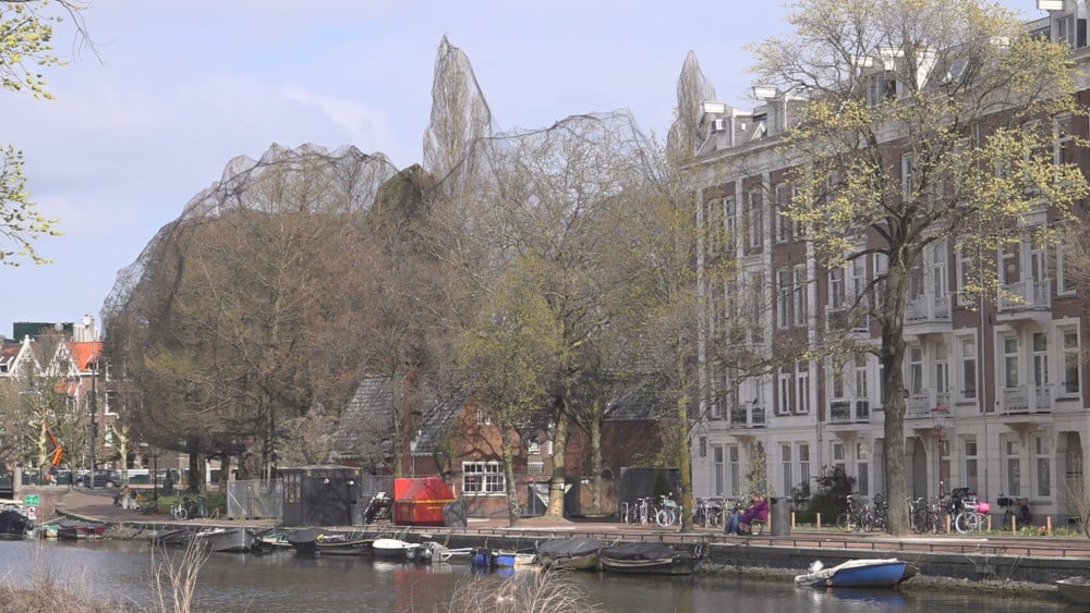 Criticized anti-bird nets at Rijksmuseum to be removed: "Breeding season well advanced"