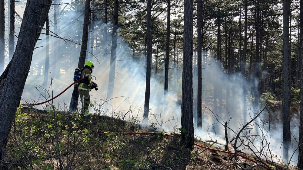 Fire department raises wildfire risk due to extreme heat