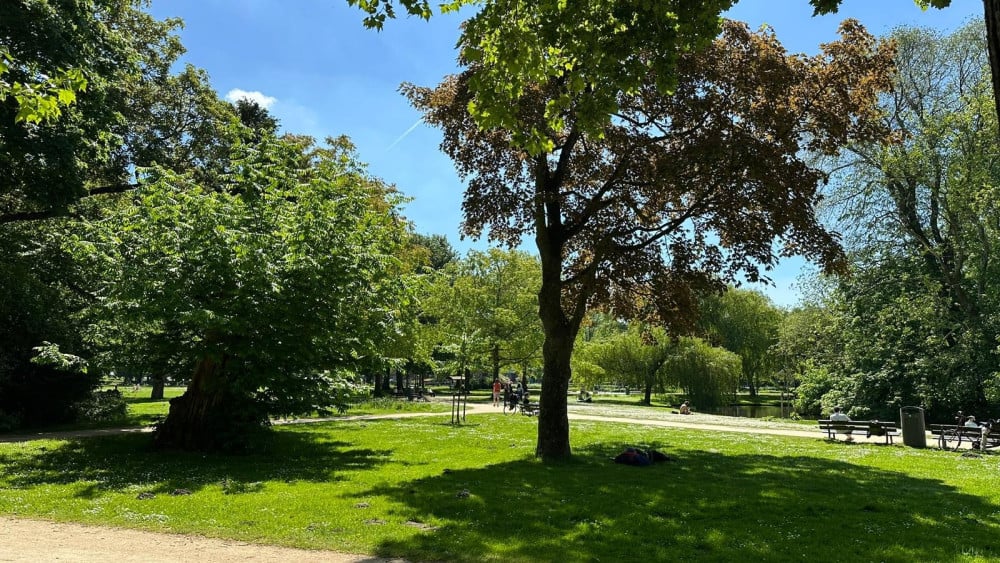 Increased enforcement in Westerpark after reports of spitting and gel blaster shootings