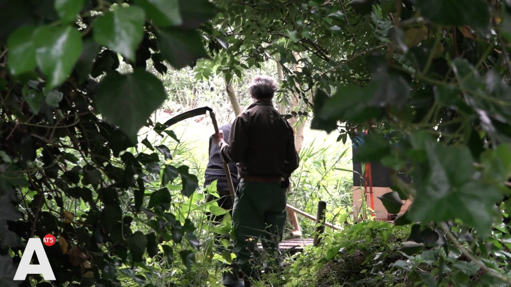 No machines, but a scythe: these volunteers help the municipality with green maintenance