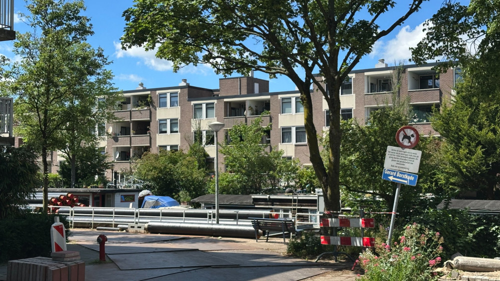 Multiple people in Amsterdam-West attacked by aggressive bird: 'Totally absurd'