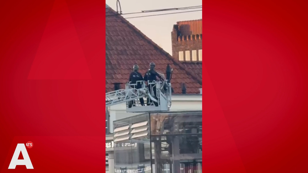 Police fire bean bag rounds to arrest disturbed man on restaurant roof near Central Station