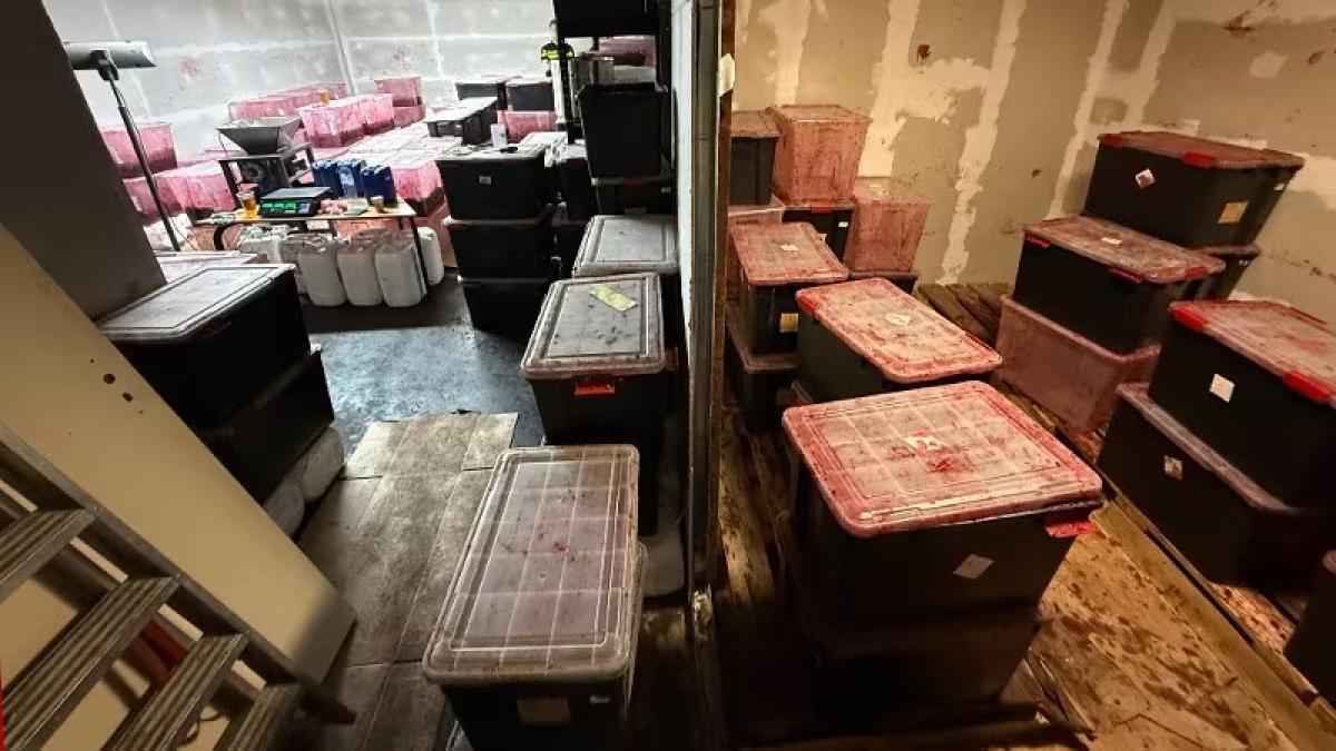 Ruim 3000 kilo illegale fruittabak in beslag genomen op bedrijventerrein in Westpoort