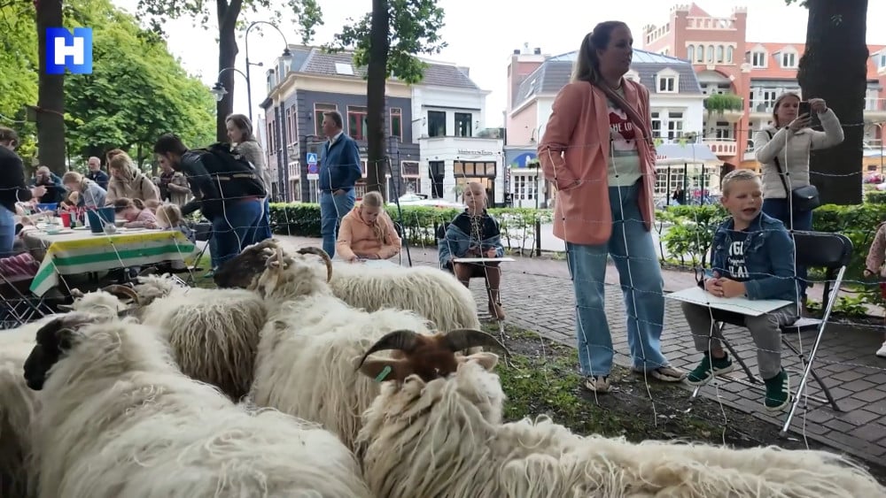 Nieuws