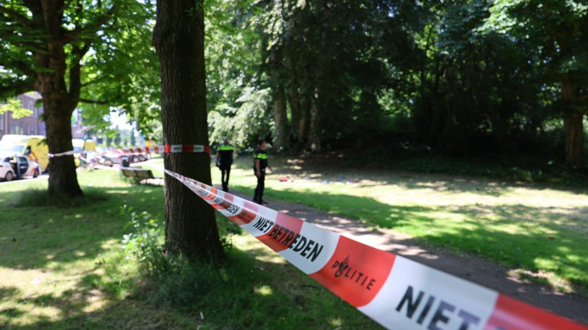 Gewonde bij steekpartij in park Haarlem, politie zoekt drie daders