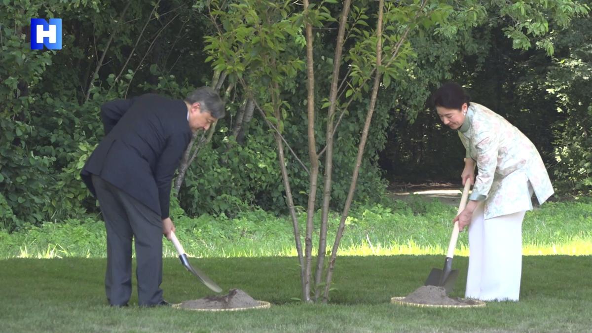 ZIEN: Japanse keizer én zijn vrouw planten eerste boom vernieuwd Bloesempark