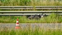 Een beschadigde motorfiets ligt in het hoge gras naast een metalen vangrail langs de weg, met een oranje-witte verkeerskegel die vlakbij op het wegdek is geplaatst.