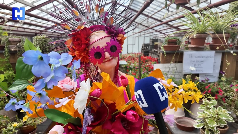 Hittemaatregelen voor de bloemen op Aalsmeer Flower Festival: "hopen op het beste"