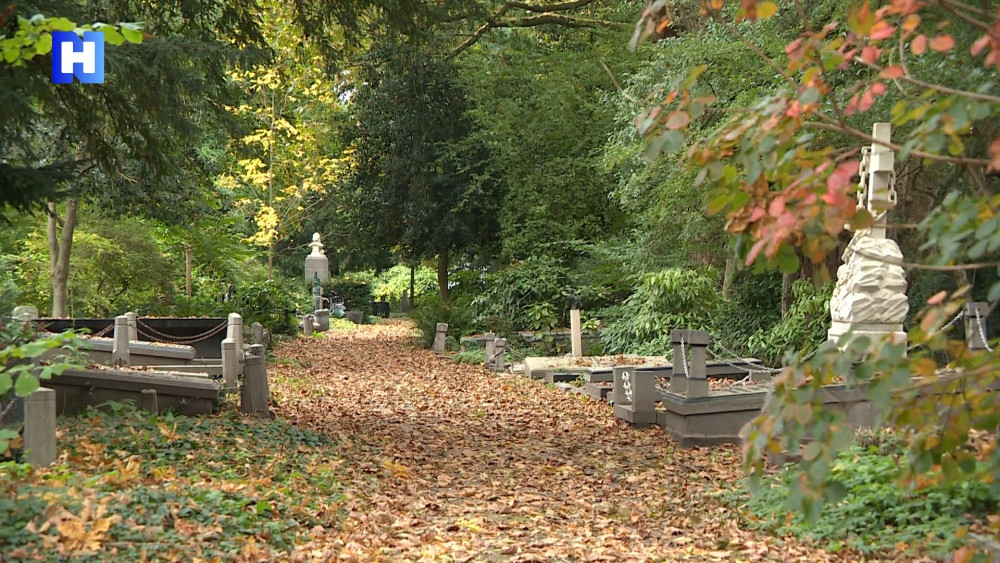 Across North Holland: famous graves at Zorgvlied and a young farmer