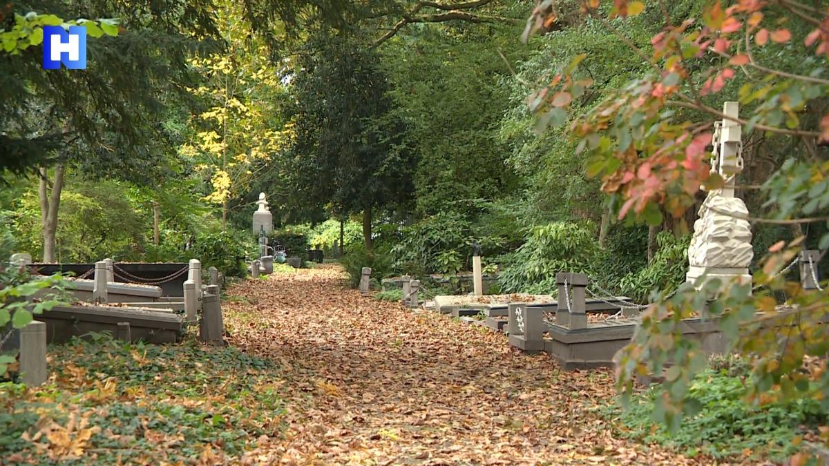 Dwars door Noord-Holland: beroemde graven op Zorgvlied en een jonge boer