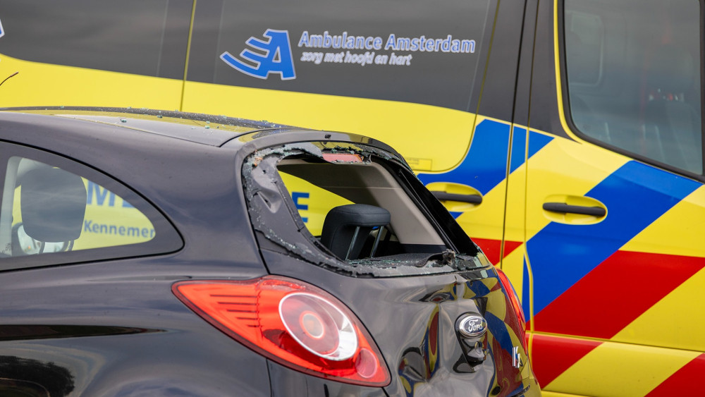 Cyclist crashes through rear window of car that stopped for crossing geese