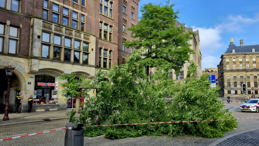 Tree across Dam square, traffic being diverted