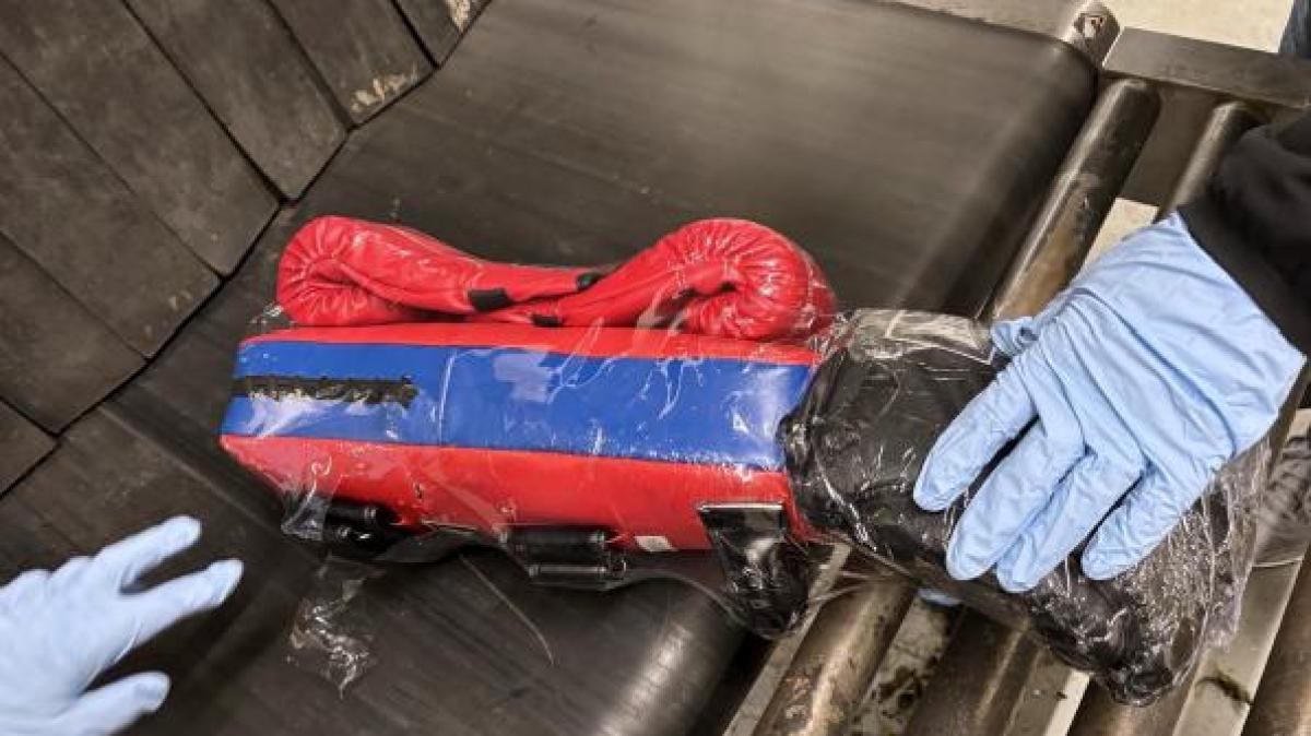 Douane Schiphol treft raak: 50 kilo cannabis in bokshandschoenen en stootkussens